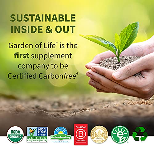 Garden of Life Whole Food Probiotic Supplement - Primal Defense HSO Probiotic Dietary Supplement for Digestive and Gut Health, 45 Vegetarian Caplets